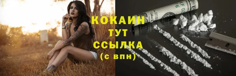 Cocaine FishScale  Кимовск 